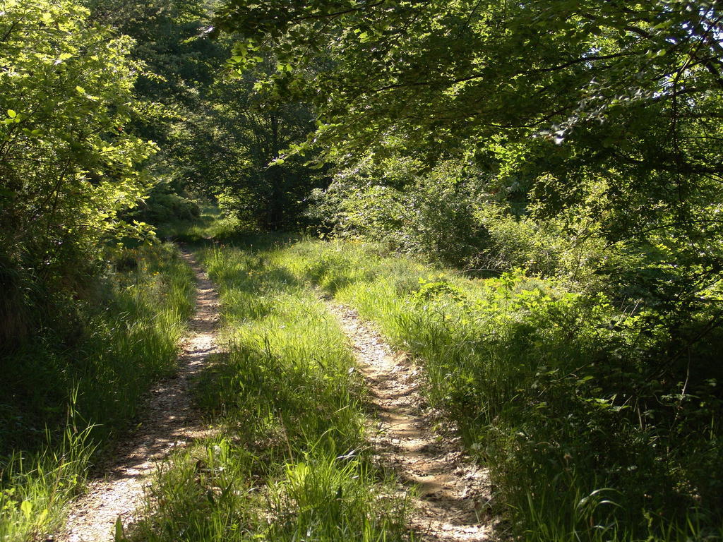 Casa di campagna La Gándara